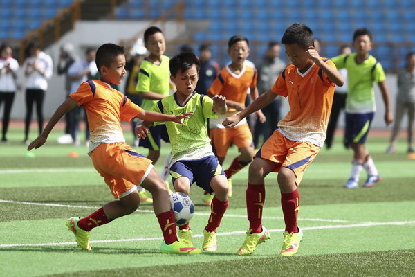 兄弟、搭档和对手——法国乒坛“双子星”的成都秀